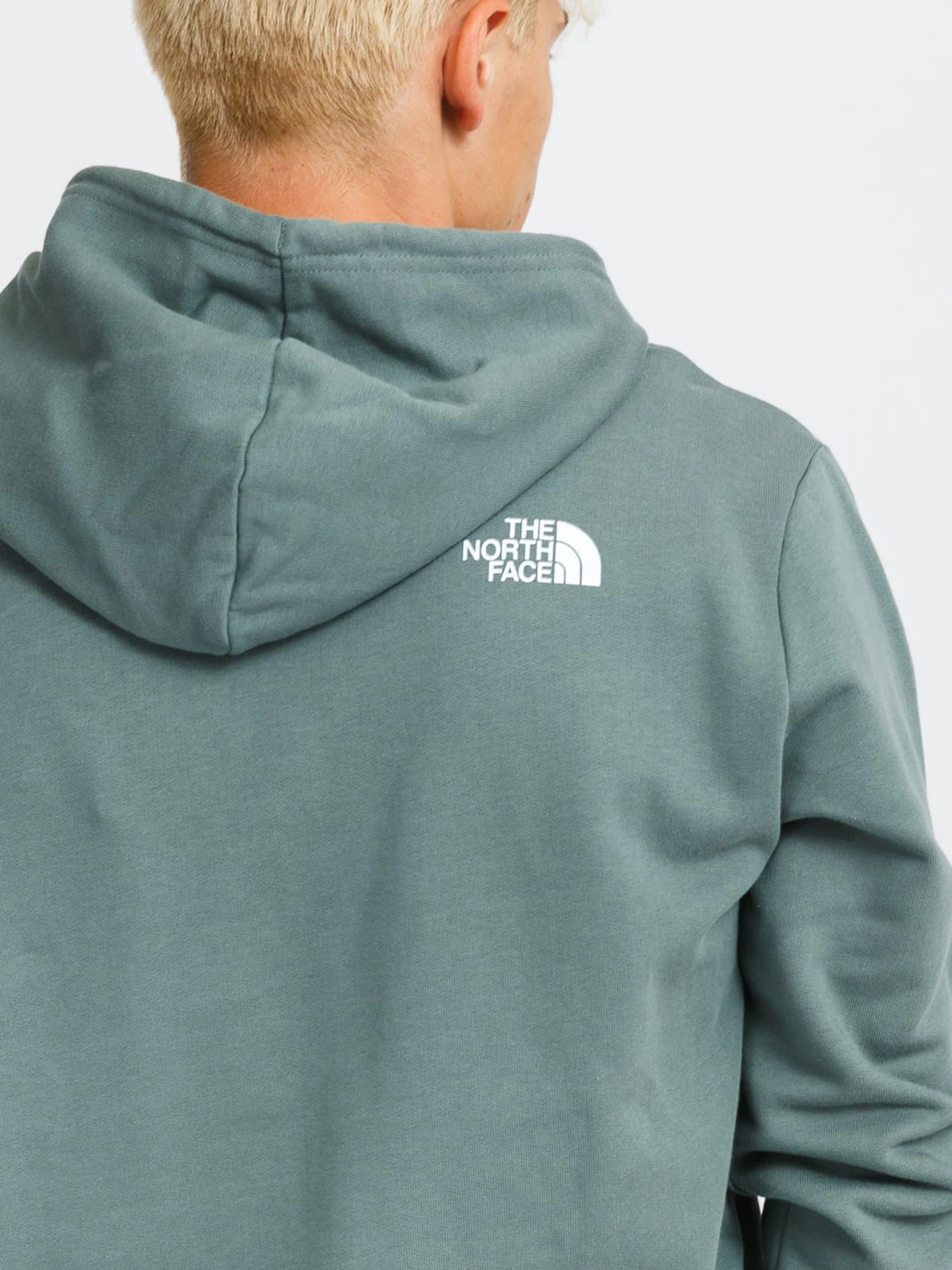 Худі та світшоти The North Face Standard модель NF0A3XYDHBS1 Фото