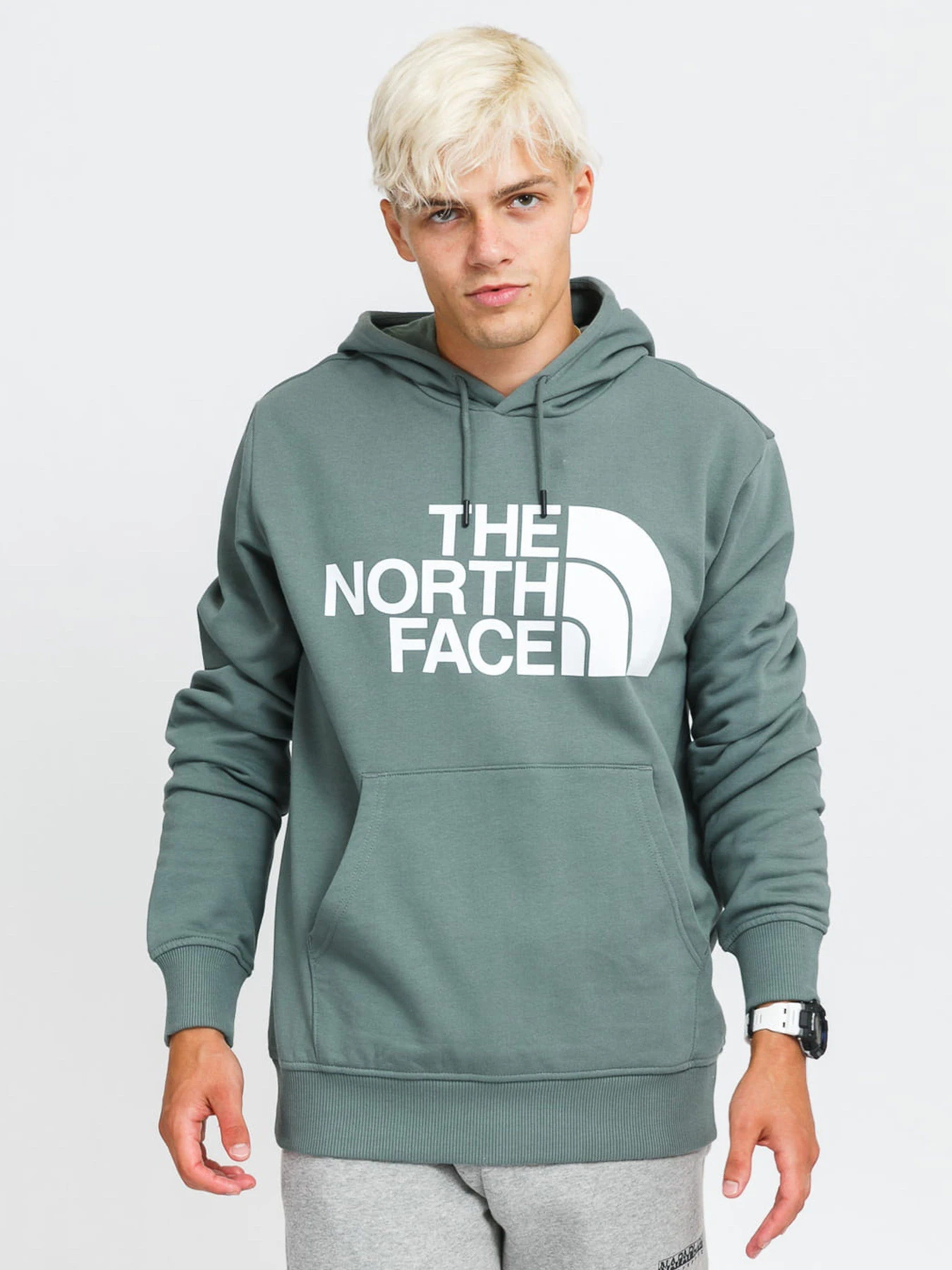 Худі та світшоти The North Face Standard модель NF0A3XYDHBS1 Фото