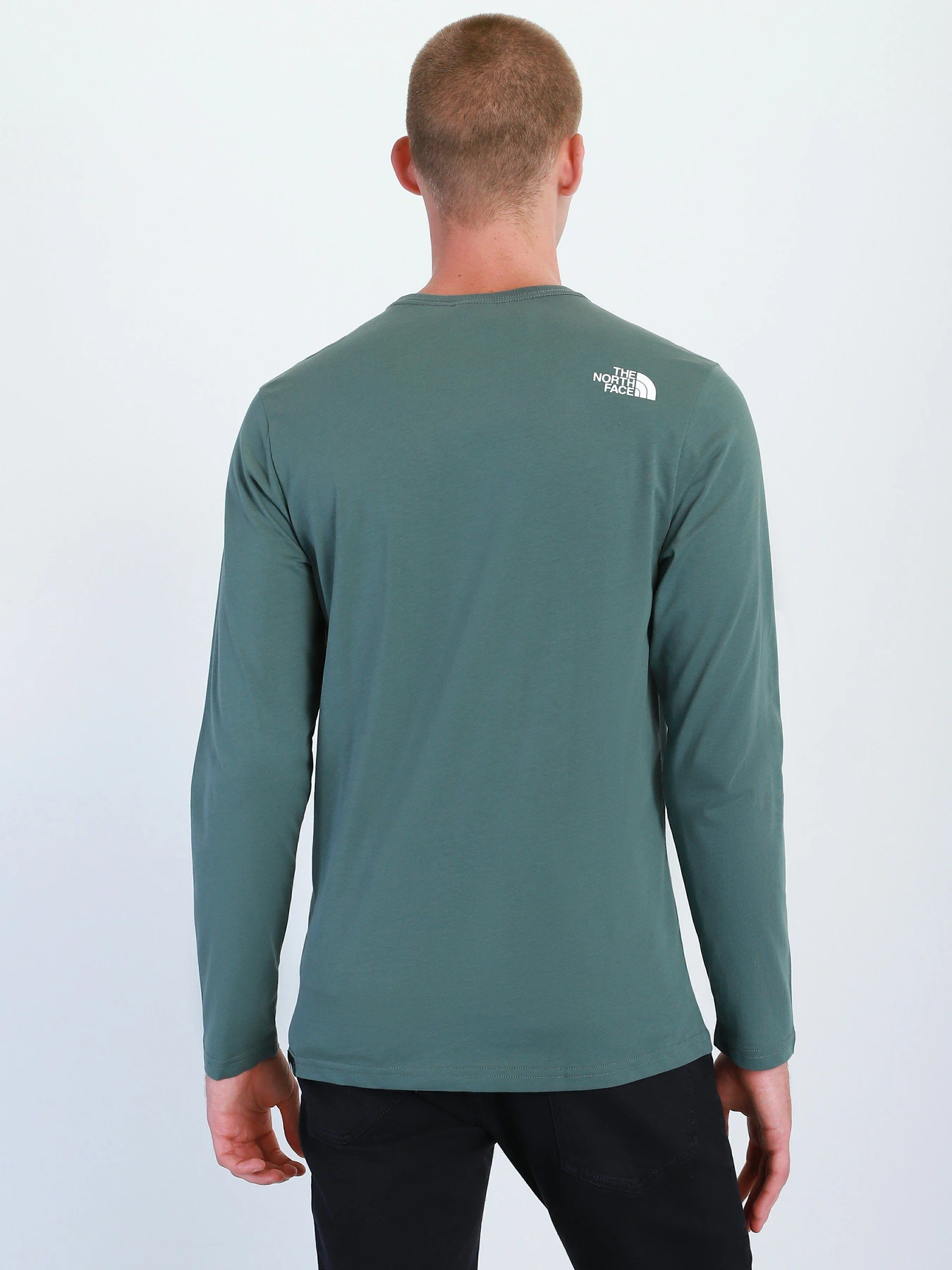 Худі та світшоти The North Face Standard Ls модель NF0A5585HBS1 Фото