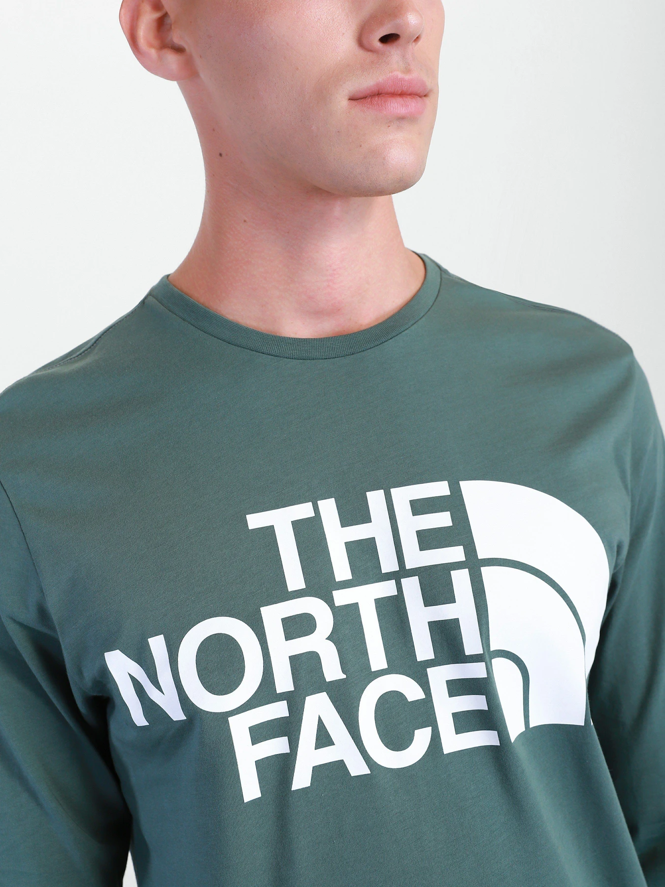 Худі та світшоти The North Face Standard Ls модель NF0A5585HBS1 Фото