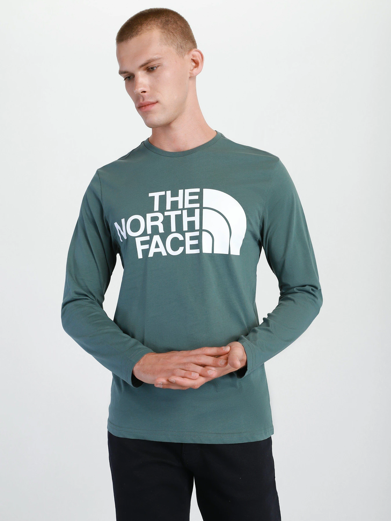 Худі та світшоти The North Face Standard Ls модель NF0A5585HBS1 Фото