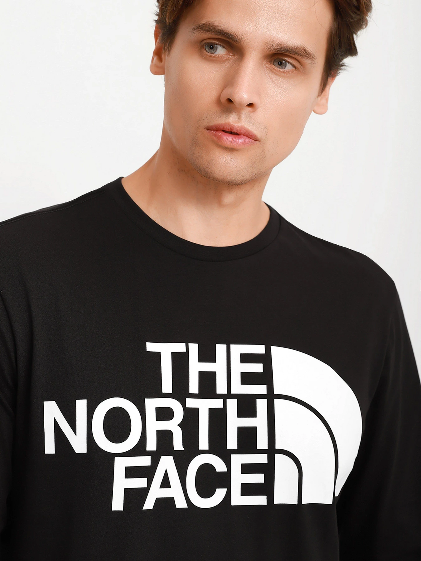 Худи и свитшоты The North Face Standard Collar модель NF0A5585JK31 Худи и свитшоты The North Face Standard Collar модель NF0A5585JK31 Фото