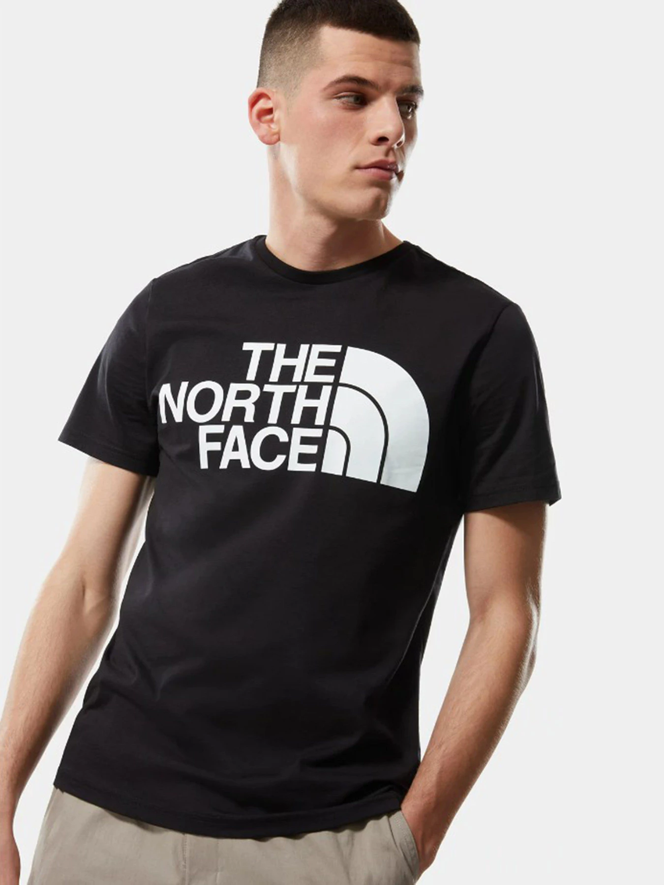 Футболки і поло The North Face Standard Ls Basic Logo модель NF0A4M7XJK31 Футболки і поло The North Face Standard Ls Basic Logo модель NF0A4M7XJK31 Фото