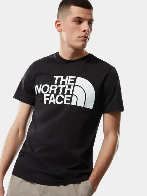 Футболки и поло The North Face Standard Ls Basic Logo модель NF0A4M7XJK31 Фото