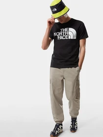 Футболки і поло The North Face Standard Ls Basic Logo модель NF0A4M7XJK31 Фото
