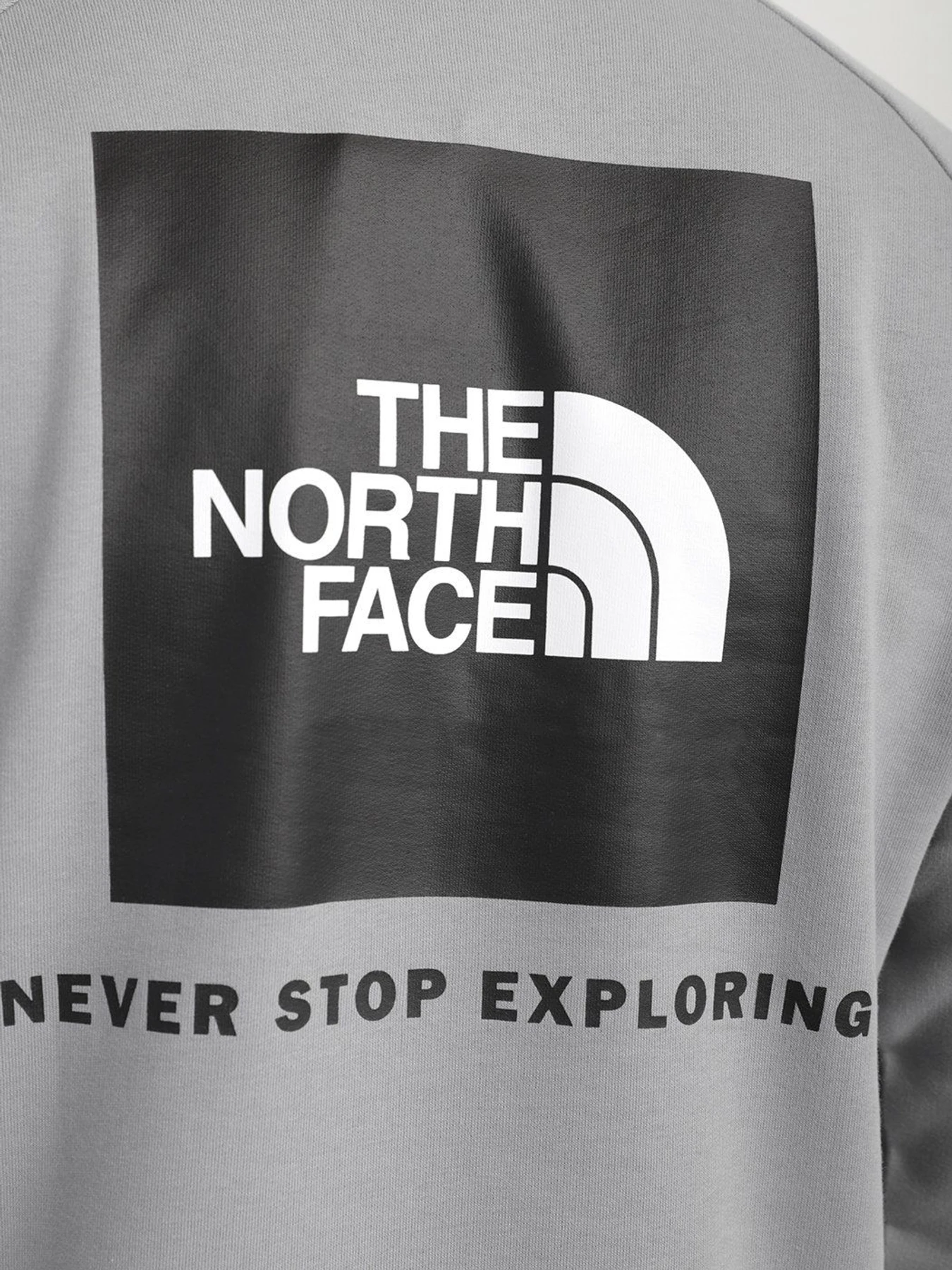 Худі та світшоти The North Face модель NF0A2ZWU0JS1 Фото