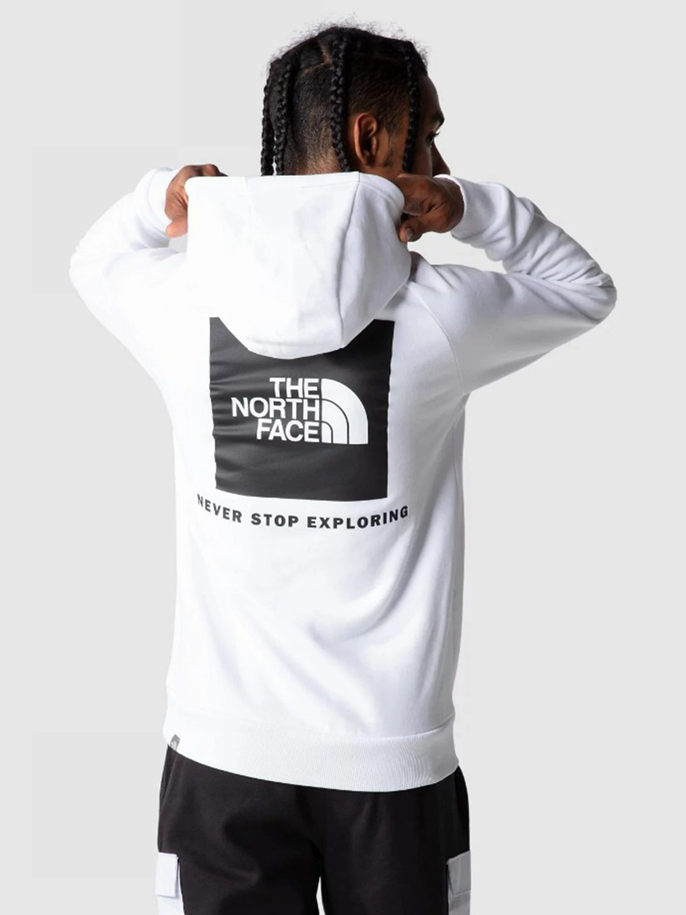 Худі та світшоти The North Face Raglan Red Box HD модель NF0A2ZWUFN41 Фото
