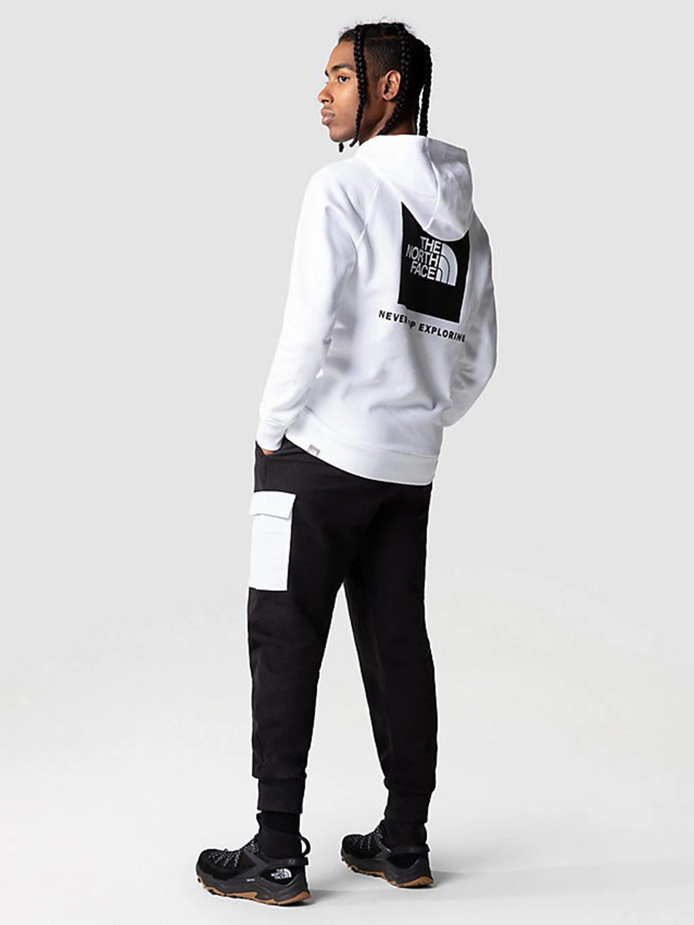 Худі та світшоти The North Face Raglan Red Box HD модель NF0A2ZWUFN41 Фото