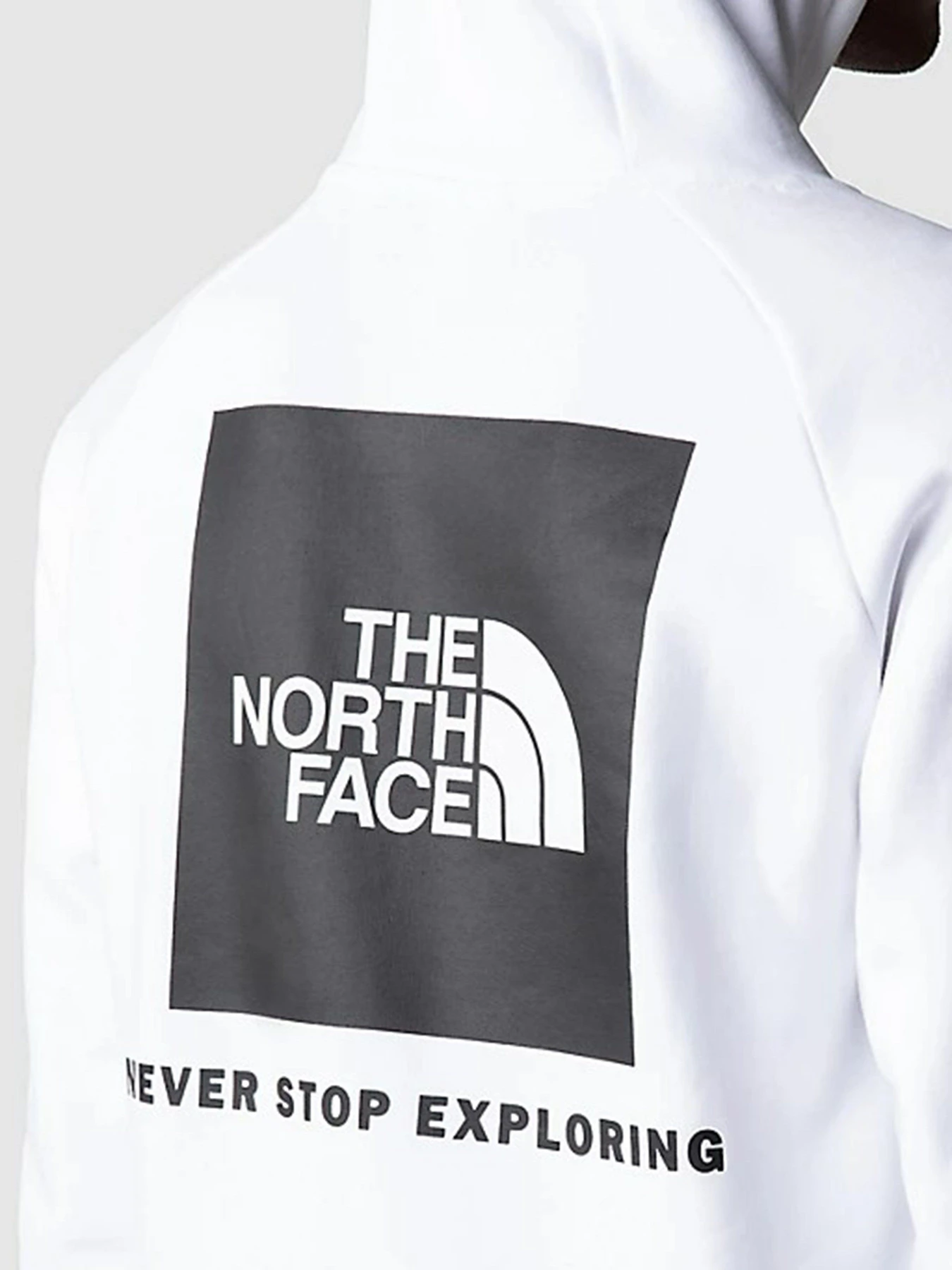 Худі та світшоти The North Face Raglan Red Box HD модель NF0A2ZWUFN41 Фото