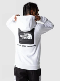 Худі та світшоти The North Face Raglan Red Box HD модель NF0A2ZWUFN41 Фото