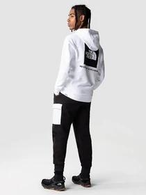 Худі та світшоти The North Face Raglan Red Box HD модель NF0A2ZWUFN41 Фото