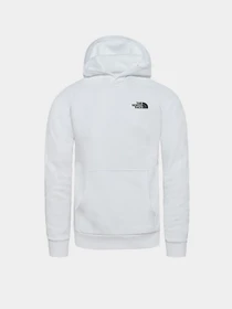 Худі та світшоти The North Face Raglan Red Box HD модель NF0A2ZWUFN41 Фото
