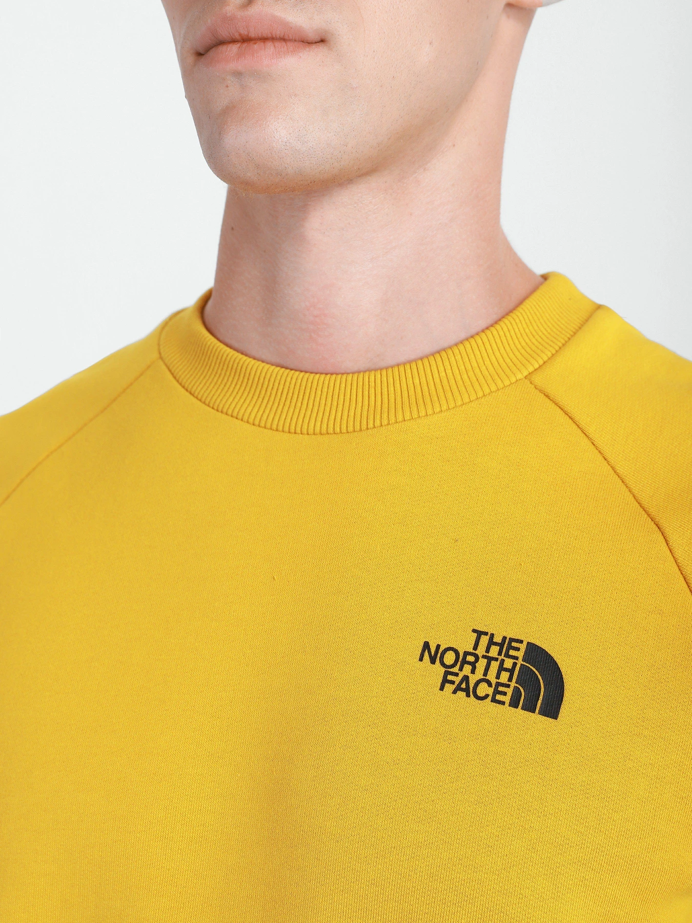Худі та світшоти The North Face Redbox модель NF0A4SZ9H9D1 Фото