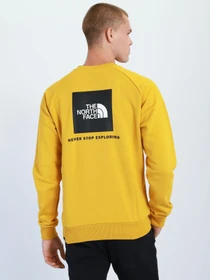 Худі та світшоти The North Face Redbox модель NF0A4SZ9H9D1 Фото