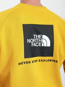 Худі та світшоти The North Face Redbox модель NF0A4SZ9H9D1 Фото