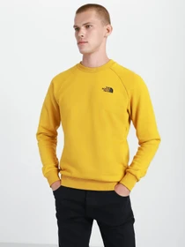 Худі та світшоти The North Face Redbox модель NF0A4SZ9H9D1 Фото
