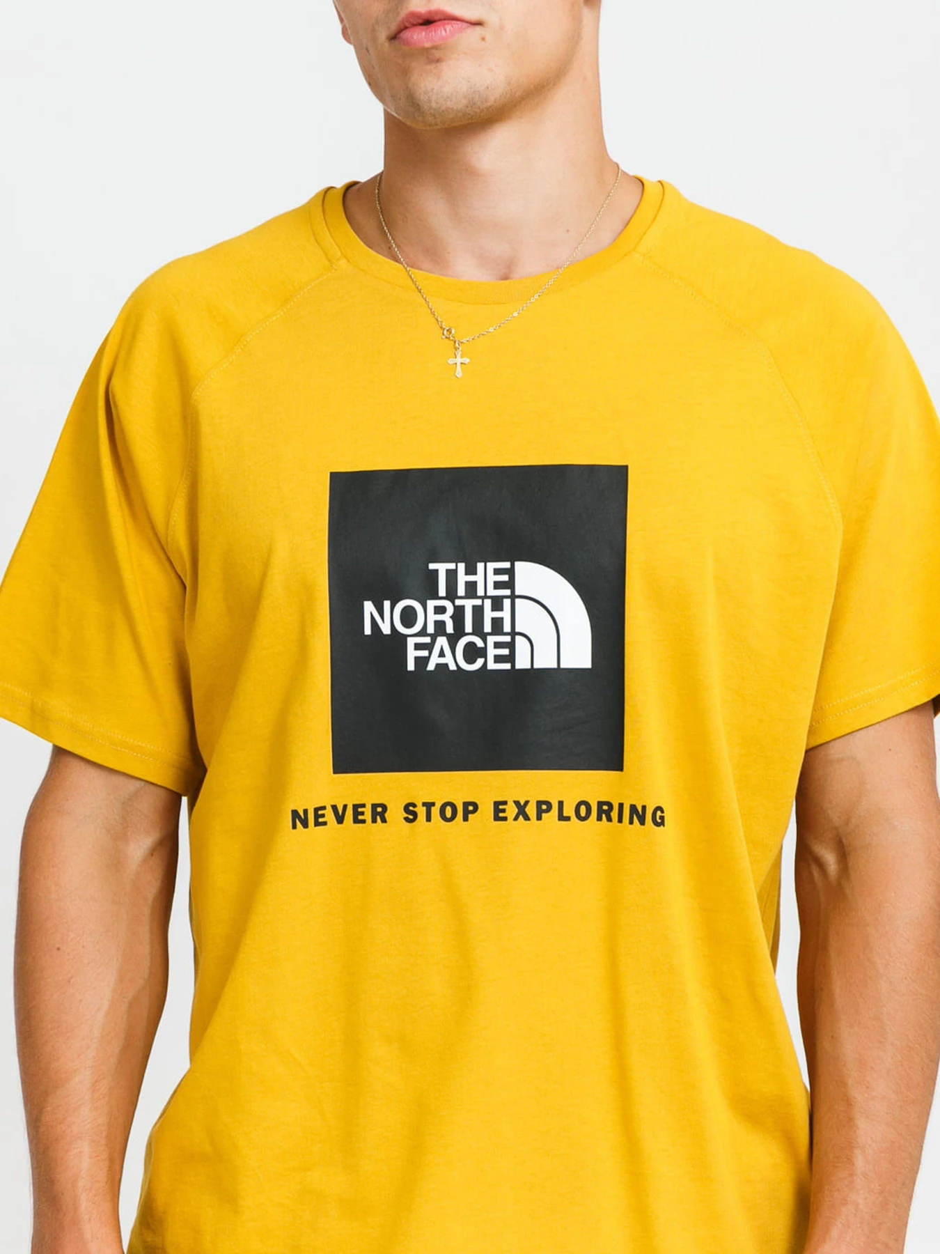 Футболки и поло The North Face Red Box модель NF0A3BQOH9D1 Футболки и поло The North Face Red Box модель NF0A3BQOH9D1 Фото