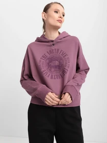 Худи и свитшоты The North Face Recycled Expedition Graphic модель NF0A5GII0H51 Фото