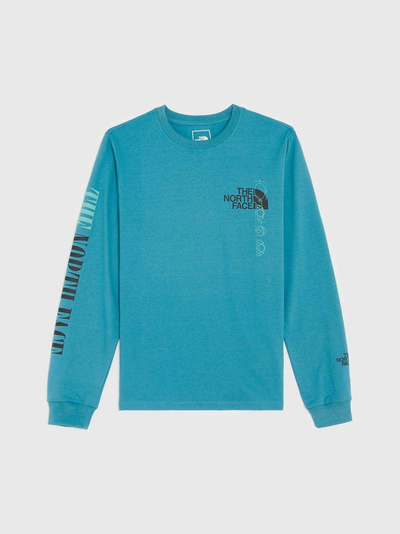 Худі та світшоти The North Face Recycled Expedition Graphic модель NF0A5GEU4Y31 Фото