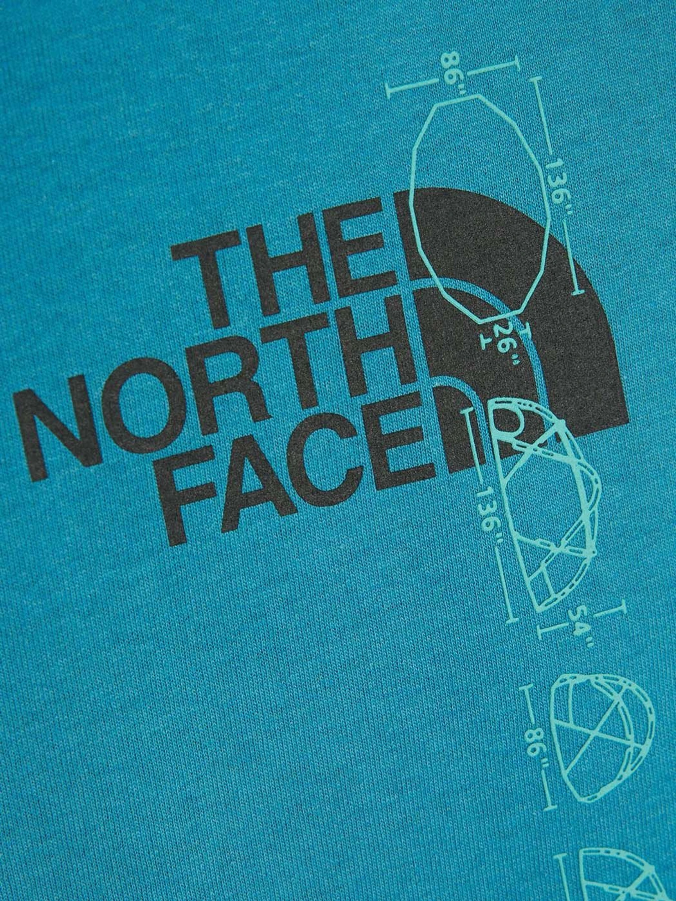 Худі та світшоти The North Face Recycled Expedition Graphic модель NF0A5GEU4Y31 Фото