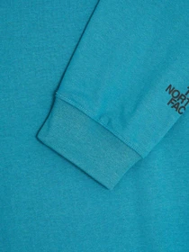 Худі та світшоти The North Face Recycled Expedition Graphic модель NF0A5GEU4Y31 Фото