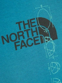 Худі та світшоти The North Face Recycled Expedition Graphic модель NF0A5GEU4Y31 Фото