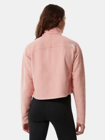 Худі та світшоти The North Face Cropped Glacier Fleece модель NF0A7SS90LA1 Фото