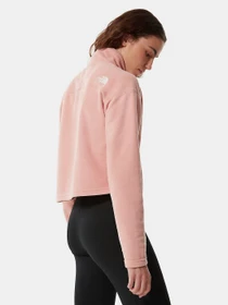 Худі та світшоти The North Face Cropped Glacier Fleece модель NF0A7SS90LA1 Фото