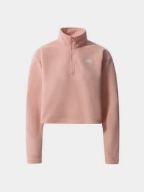 Худі та світшоти The North Face Cropped Glacier Fleece модель NF0A7SS90LA1 Фото