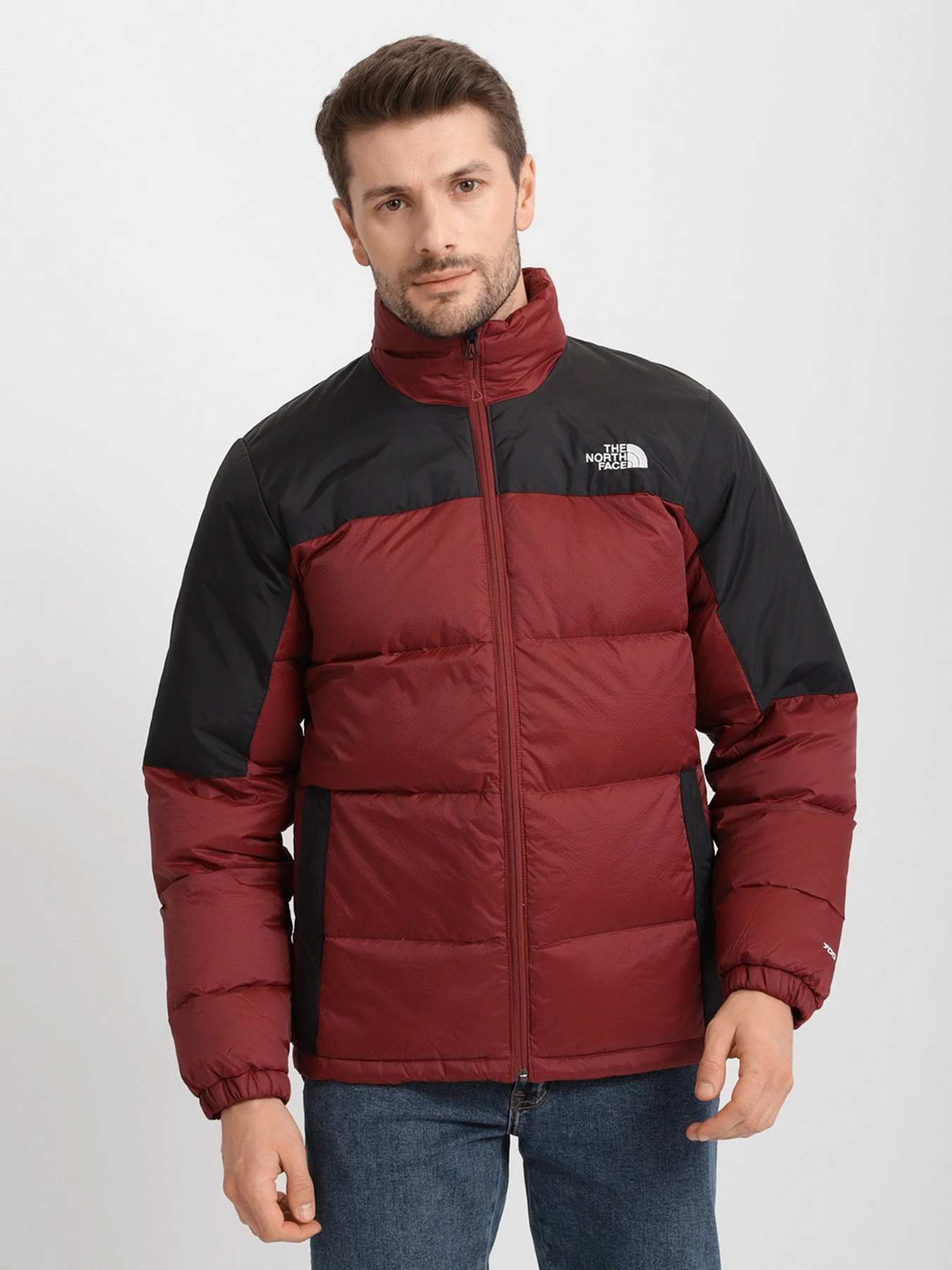 Куртки и дубленки The North Face Diablo Down модель NF0A4M9J11R1 Фото