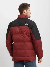 Куртки и дубленки The North Face Diablo Down модель NF0A4M9J11R1 Фото
