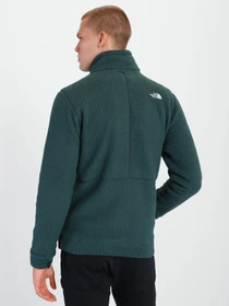 Куртки та дублянки The North Face Fleece Triclimate модель NF0A5IBN2391 Фото
