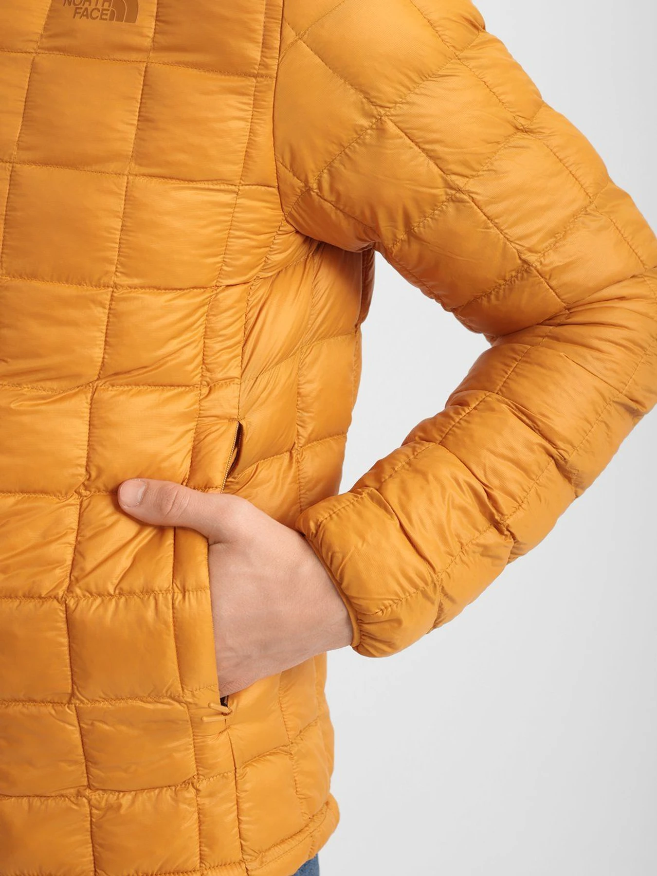 Куртки и дубленки The North Face Thermoball Eco модель NF0A5GLLHBX1 Куртки и дубленки The North Face Thermoball Eco модель NF0A5GLLHBX1 Фото