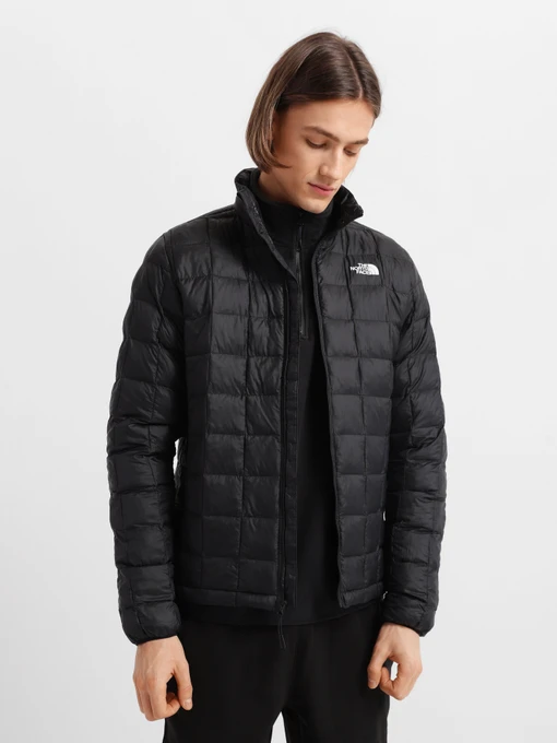 Куртки та дублянки The North Face Thermoball Eco модель NF0A5GLLJK31 Фото