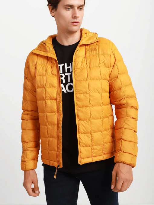 Куртки и дубленки The North Face ThermoBall™ Eco Hoodie модель NF0A5GLKHBX1 Фото