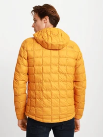 Куртки и дубленки The North Face ThermoBall™ Eco Hoodie модель NF0A5GLKHBX1 Фото