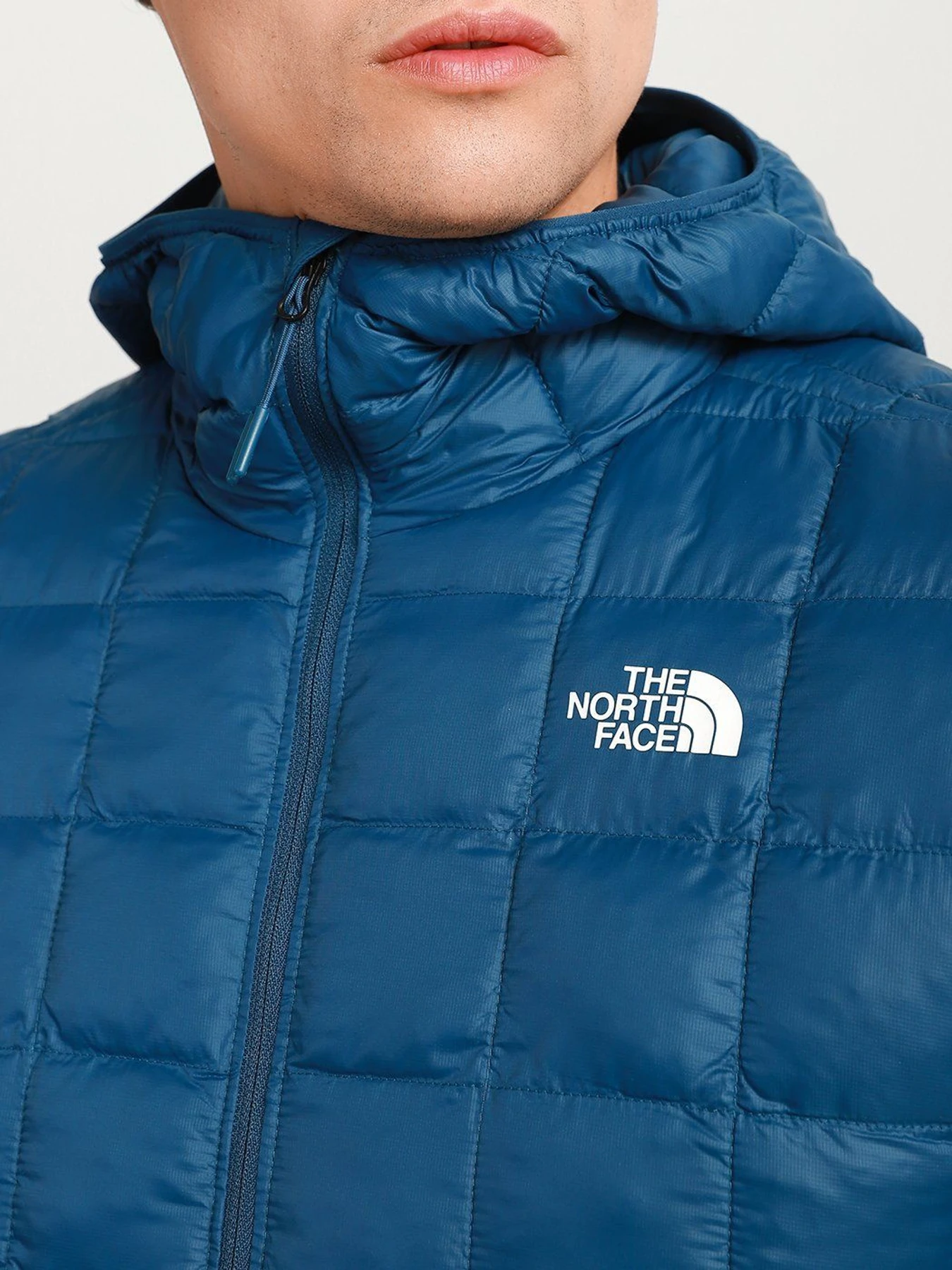 Куртки и дубленки The North Face ThermoBall™ Eco Hoodie модель NF0A5GLK25H1 Фото
