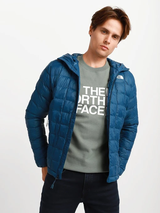 Куртки и дубленки The North Face ThermoBall™ Eco Hoodie модель NF0A5GLK25H1 Фото
