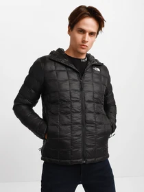 Куртки и дубленки The North Face Thermoball Eco модель NF0A5GLKJK31 Фото