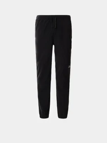 Брюки The North Face TKA Glacier модель NF0A48KSJK31 Фото