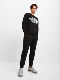 Брюки The North Face Explore модель NF0A5G9PJK31 Фото
