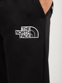 Брюки The North Face Explore модель NF0A5G9PJK31 Фото
