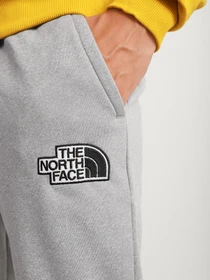 Брюки The North Face Explore модель NF0A5G9PDYX1 Фото