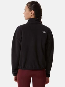 Худи и свитшоты The North Face W Tka Glacier Crp модель NF0A5GB5JK31 Фото
