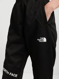 Брюки The North Face Mountain Athletics модель NF0A55HFJK31 Фото