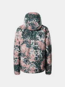 Куртки та дублянки The North Face Pinecroft Triclimate модель NF0A4M8I36F1 Фото