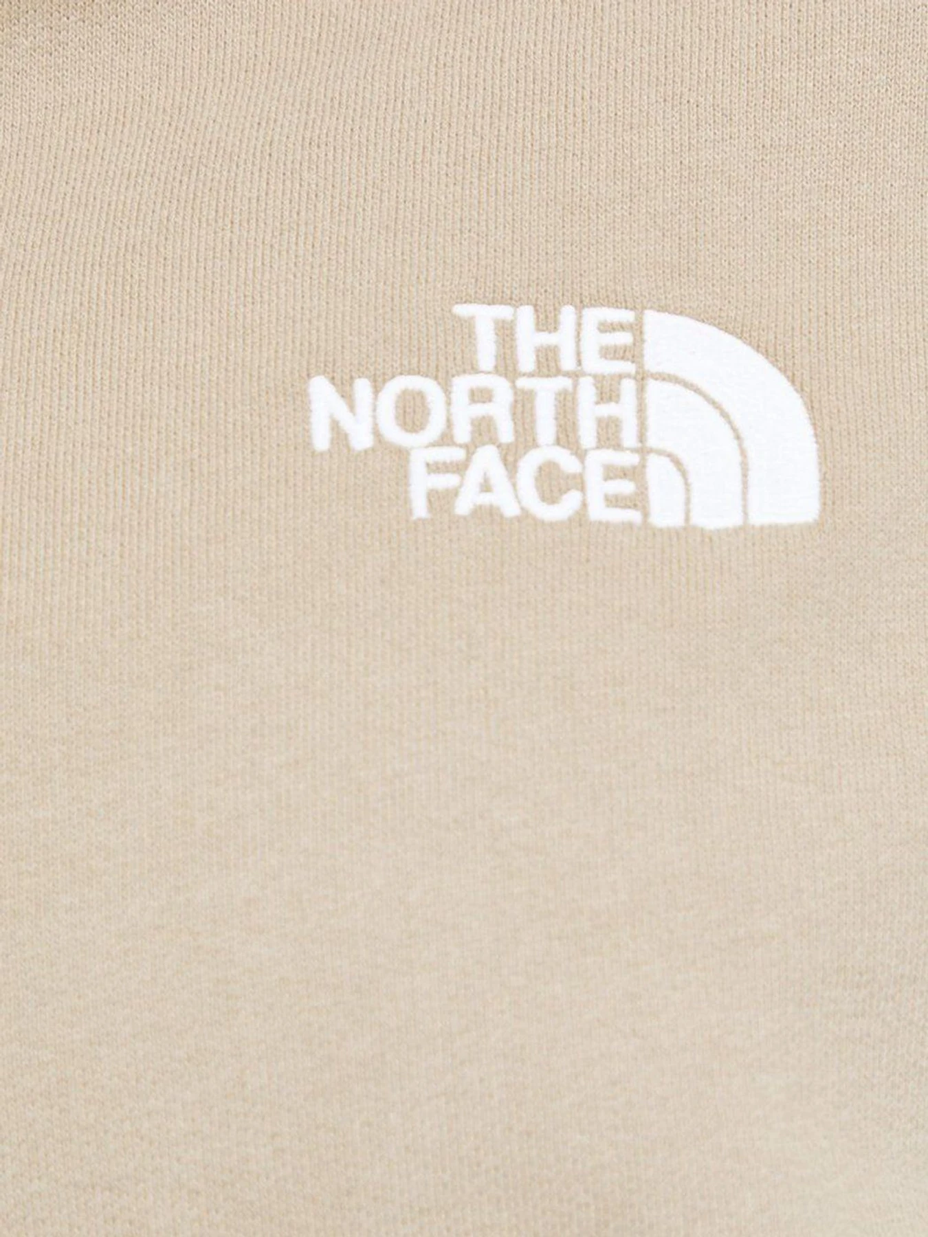Худи и свитшоты The North Face Oversized модель NF0A55GRCEL1 Худи и свитшоты The North Face Oversized модель NF0A55GRCEL1 Фото