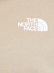 Худи и свитшоты The North Face Oversized модель NF0A55GRCEL1 Фото