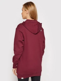 Худи и свитшоты The North Face Oversized модель NF0A55GKD4S1 Фото