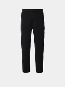 Брюки The North Face Gordon Lyons модель NF0A5A7XKS71 Фото